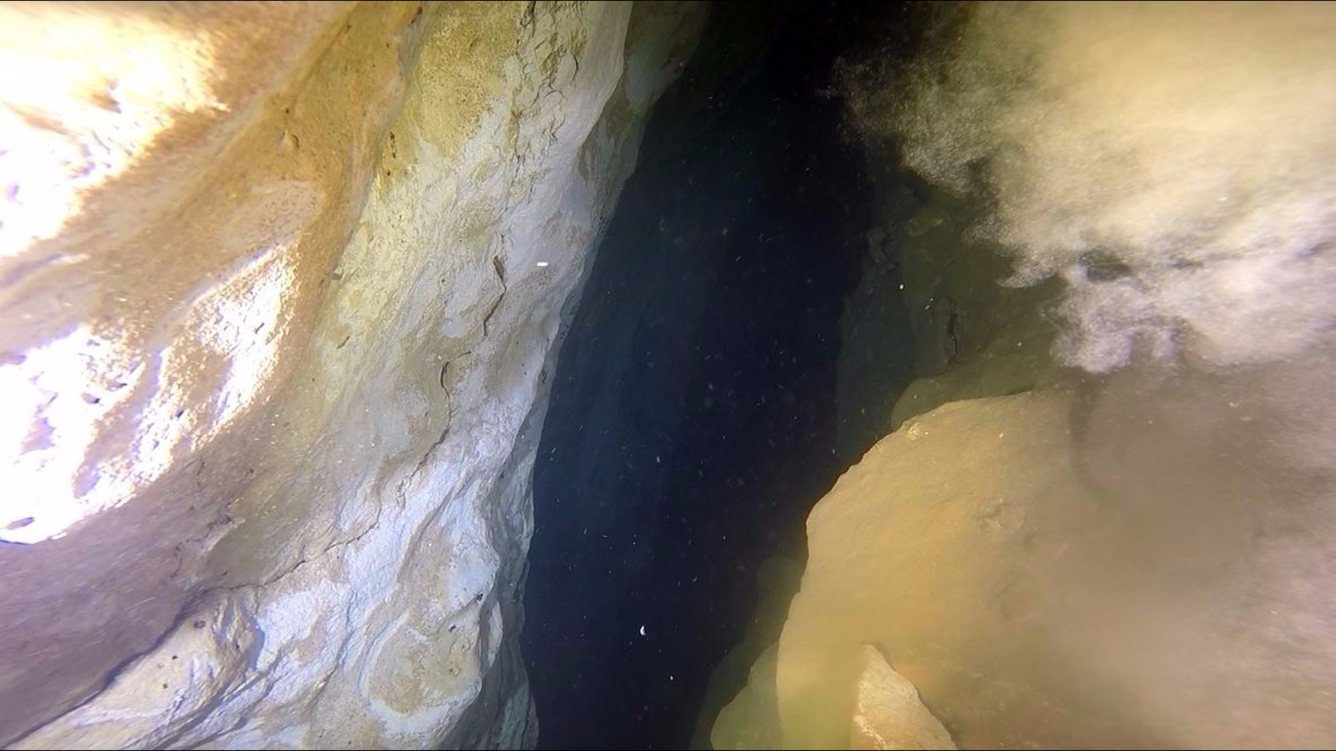 Beautiful but deadly Divers fight to keep Florida's underwater "Mt