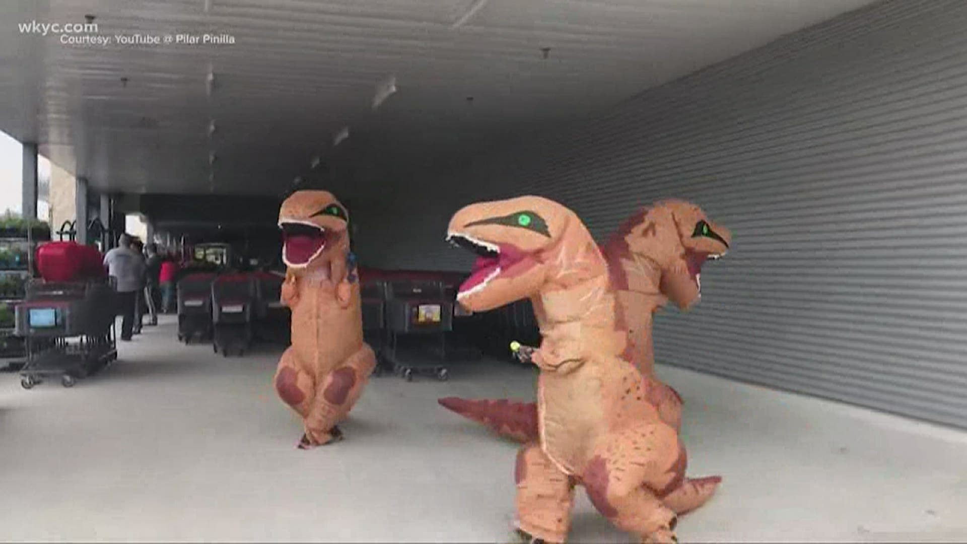 Mascot dinosaurs have been spotted around Bay Village, spreading cheer amid the coronavirus pandemic.
