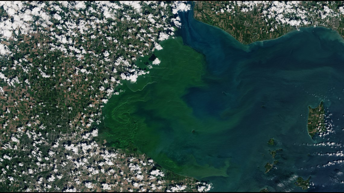 NASA photograph shows massive Lake Erie algae bloom