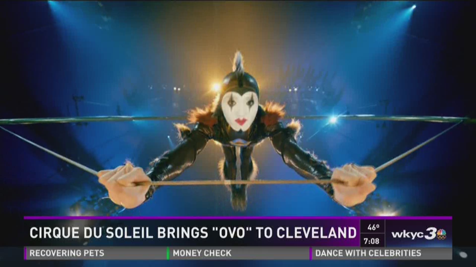 OVO - Cirque du Soleil : Mídia Day