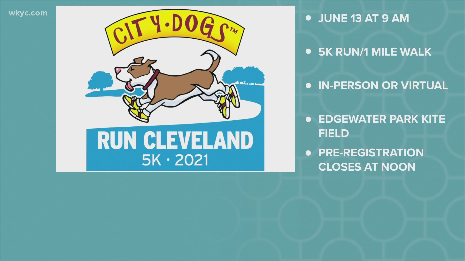 Friends of CITY DOGS Cleveland 5k run this weekend