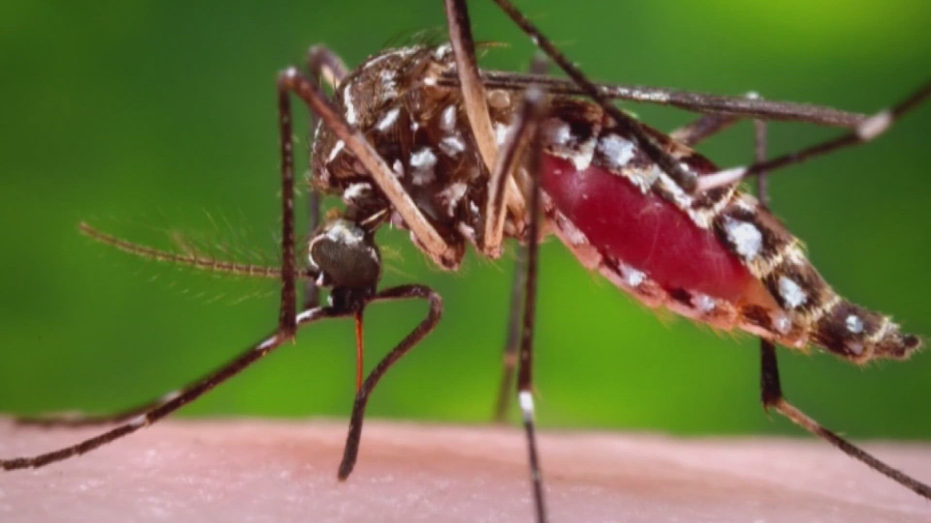 According to the Ohio Department of Health, 38 of Ohio's 88 counties have had mosquito pools testing positive for West Nile virus this year.