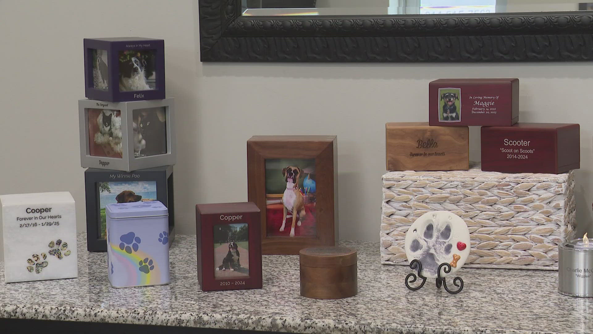 A new way to grieve and honor beloved pets: Ready Pet GO! | wkyc.com