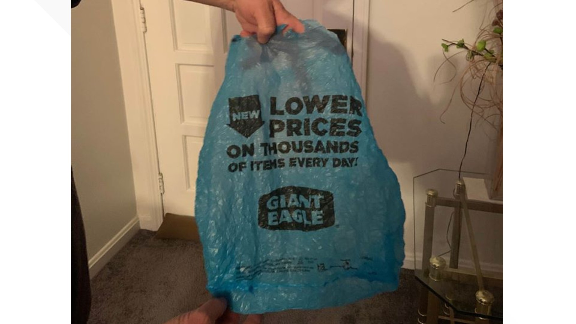 For 100, you could be the owner of a 'vintage' Giant Eagle bag