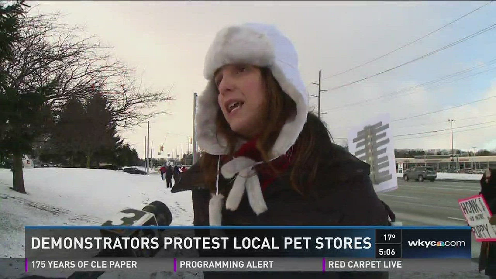 Demonstrators protest local pet stores