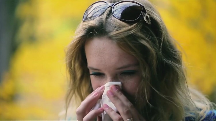 Sneezing yet? Spring allergies are starting to rear their ugly head