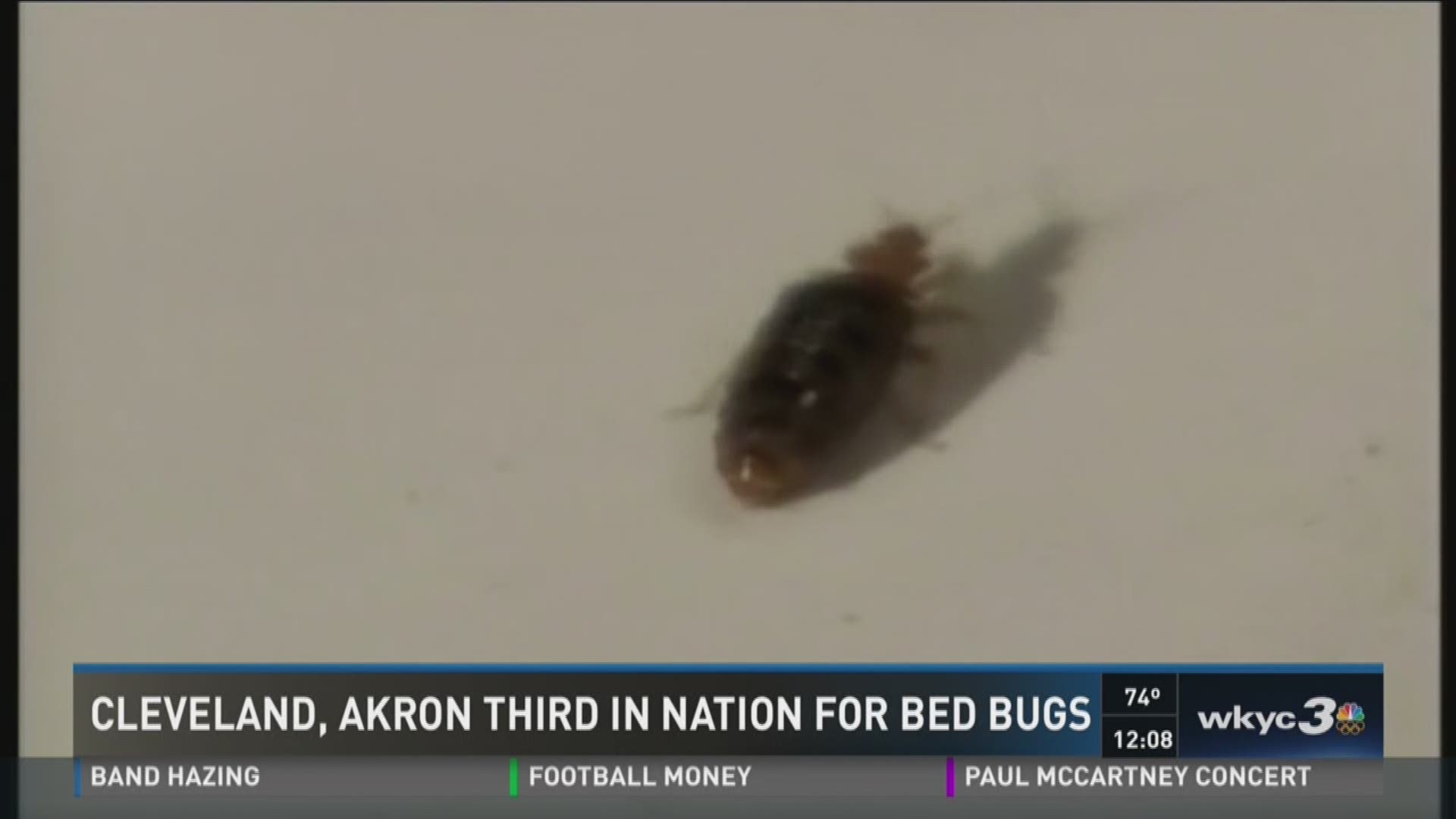 Reason to watch out for bed bugs Cleveland ranks third