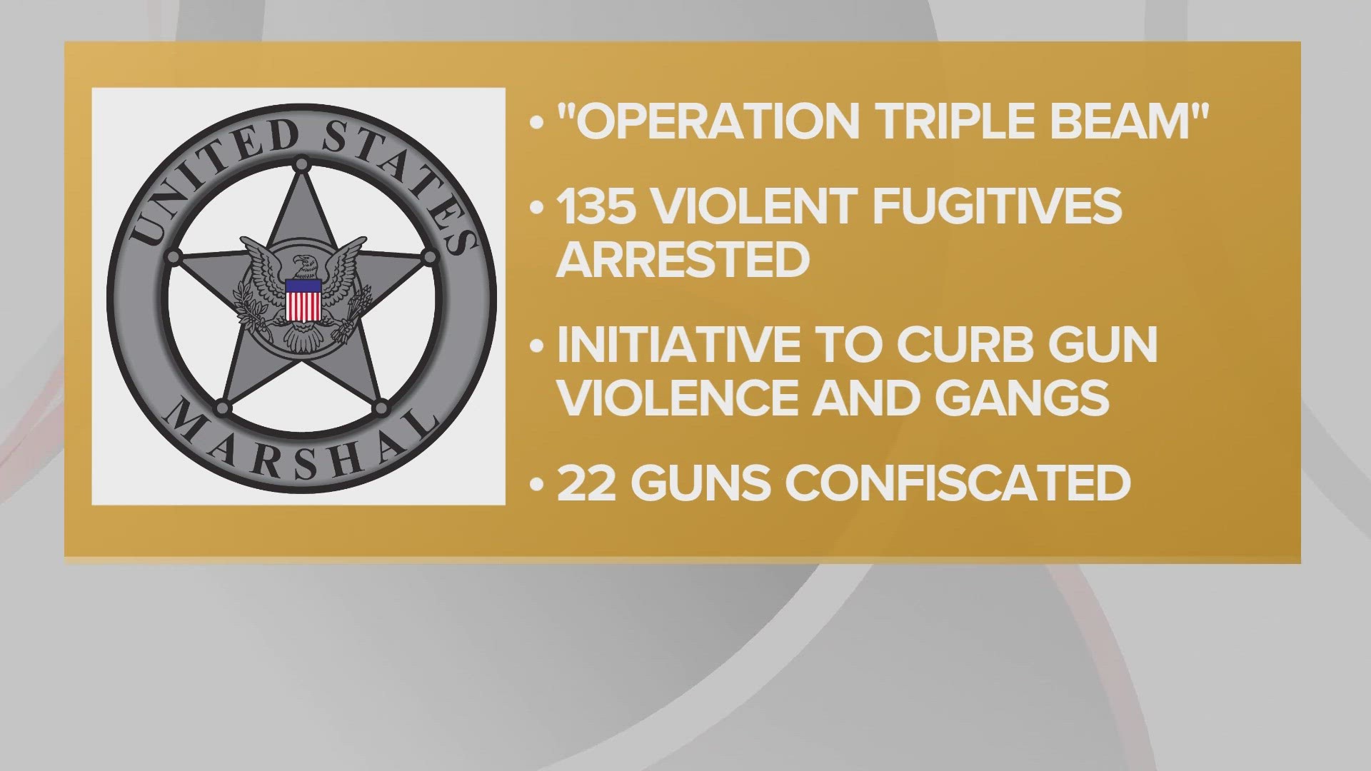 Authorities say 22 guns were also taken off the streets 'and out of the hands of individuals who are prohibited from possessing them.'