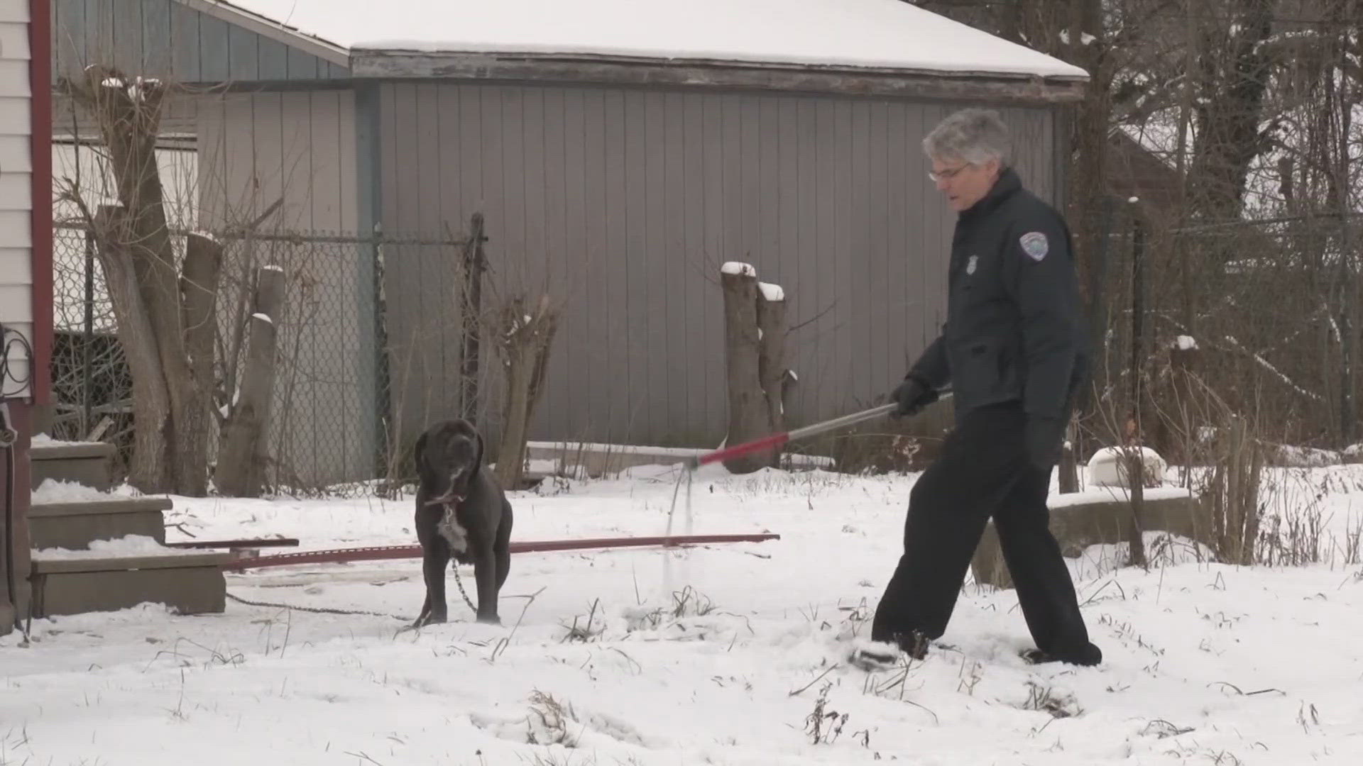 New Animal Crimes Unit targets rising abuse cases in Cuyahoga County ...