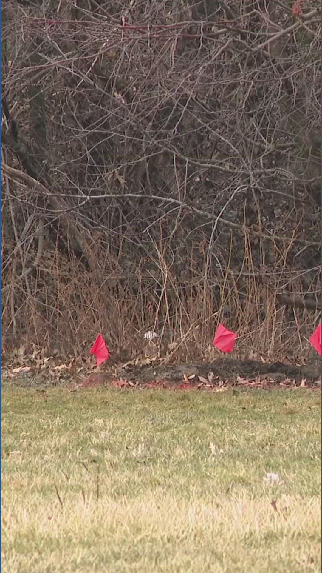 Cleveland police say bodies of two young girls were found in suitcases ...