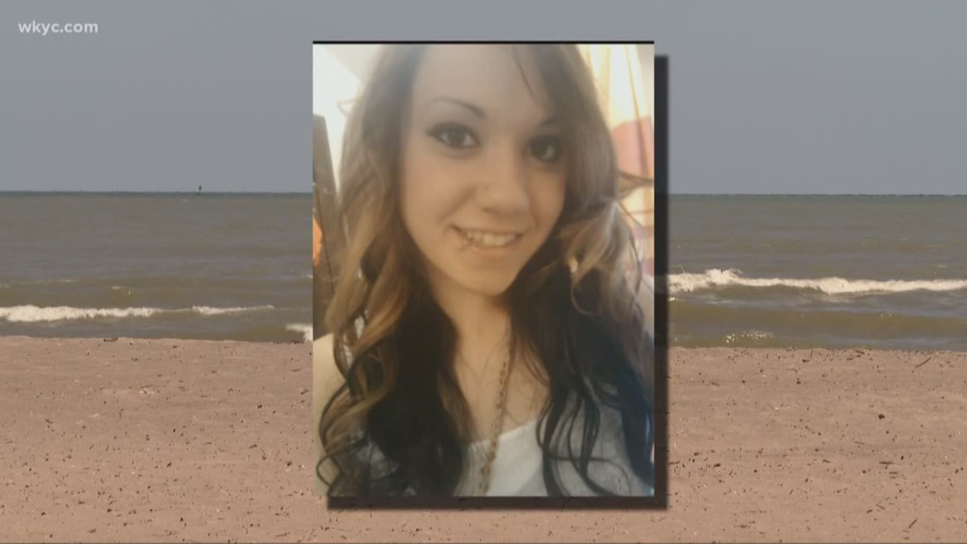 Family members of 29-year-old Brittany Young want Huron City officials to add safety measures at Nickel Plate Beach after Young went missing while swimming Sunday.