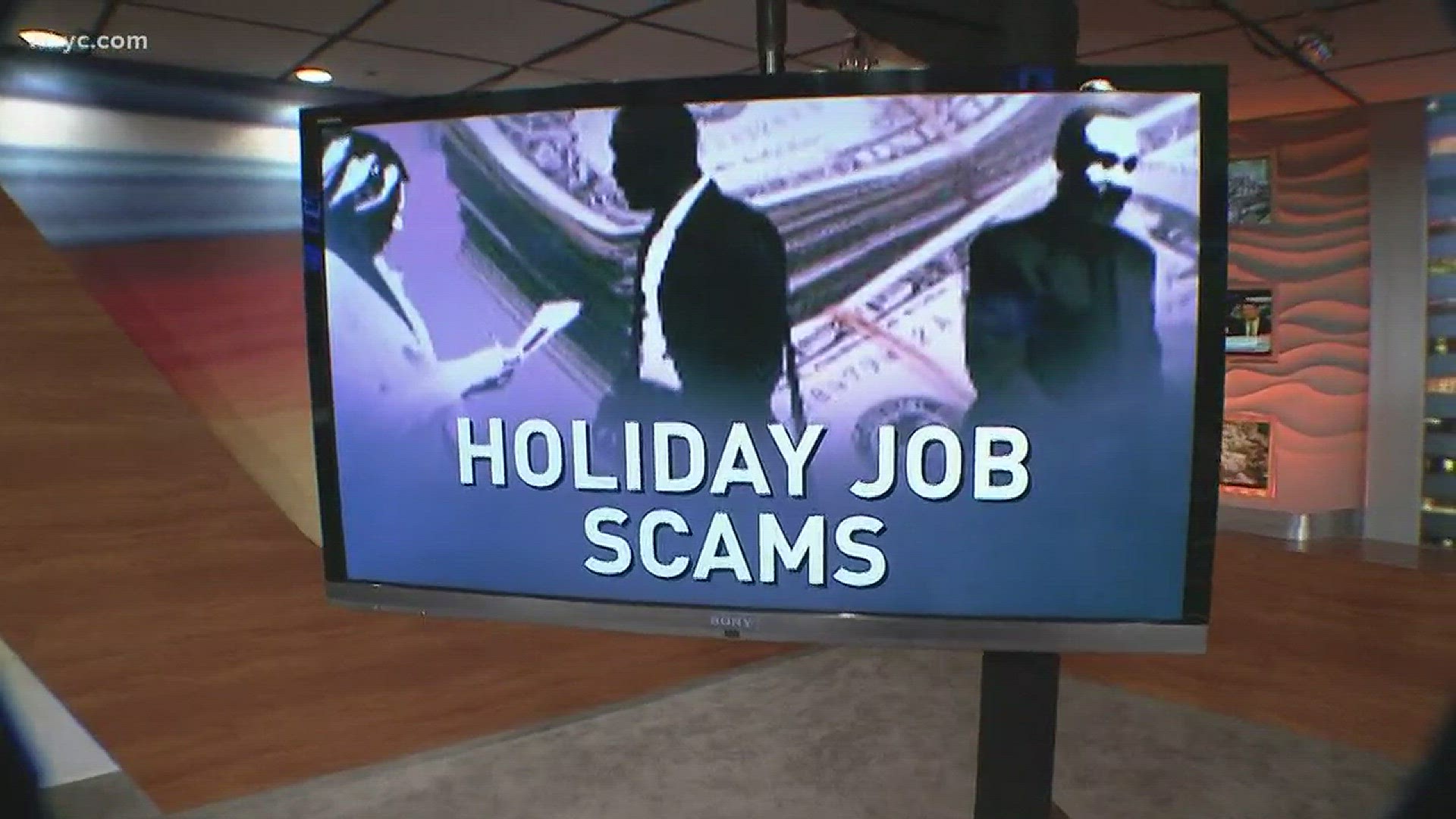 Scam Squad Holiday Jobs