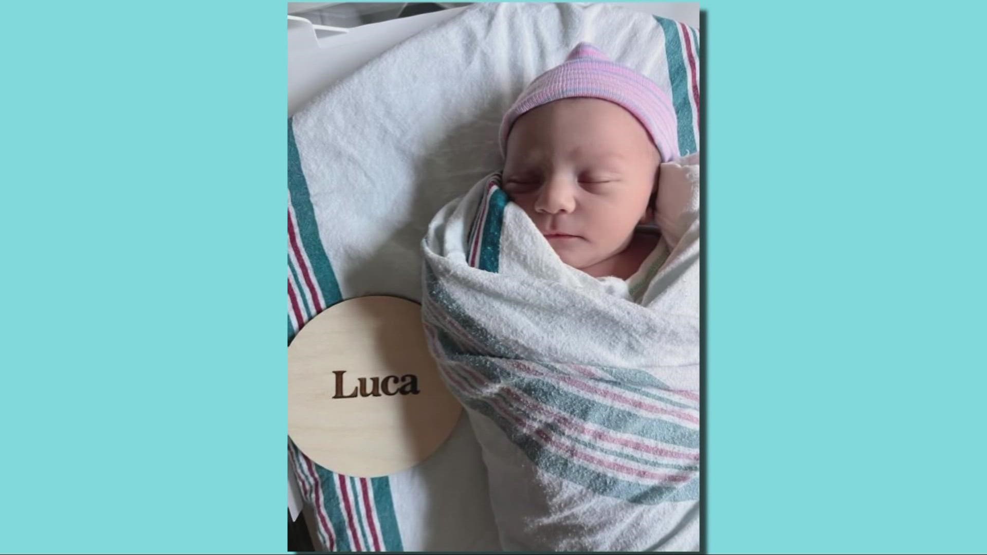 Luca joins Isla as part of Sara and Angelo's ever-growing family!