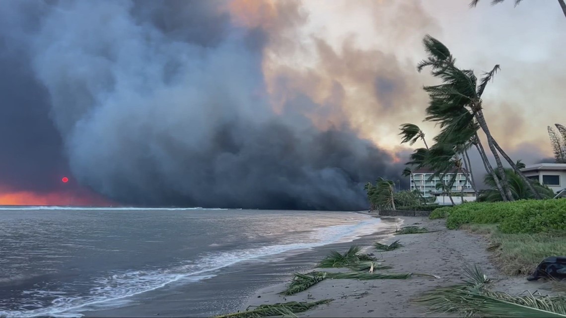 Northeast Ohio native loses home in Hawaii wildfires - Vimarsana News