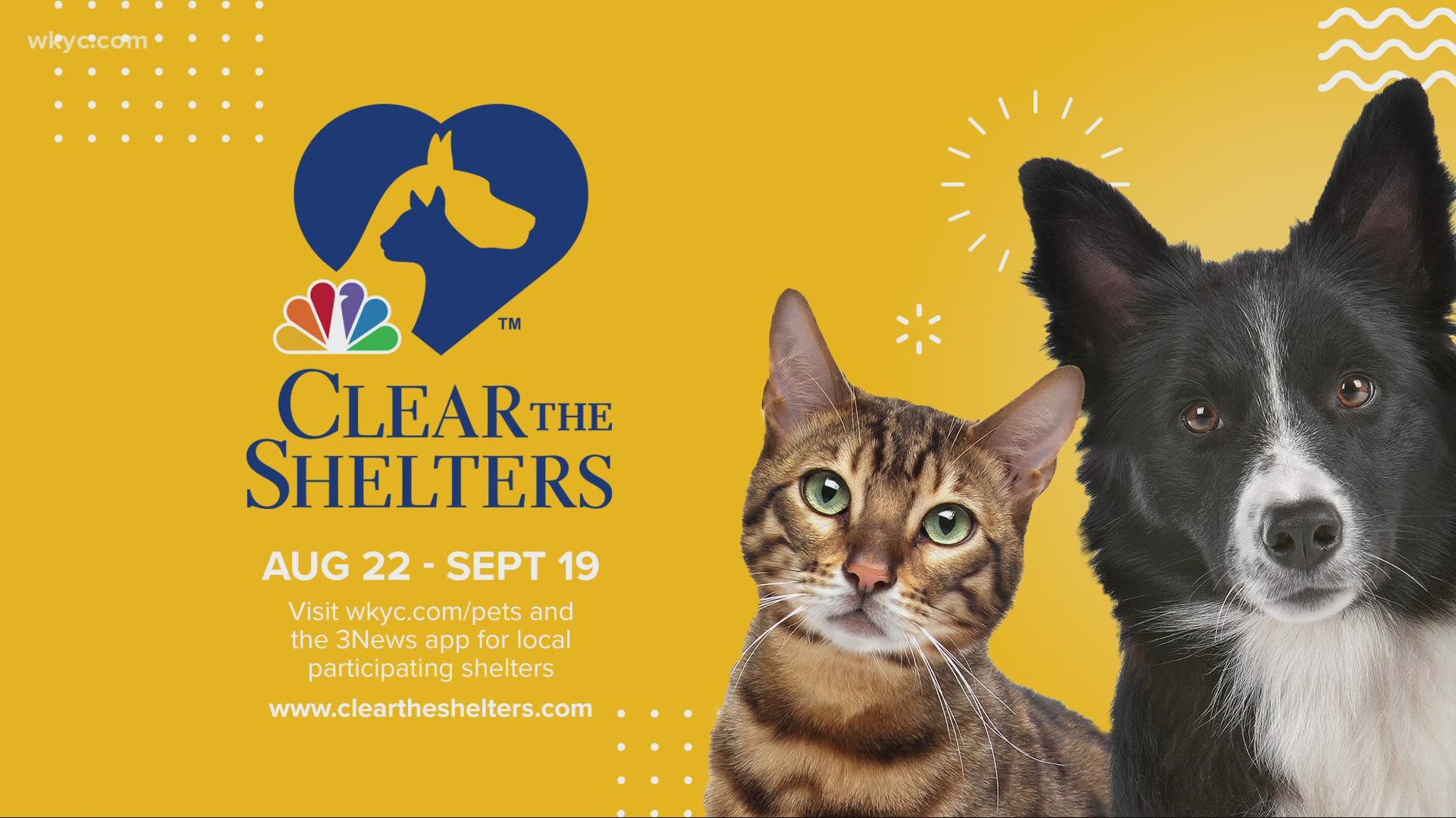 Clear the Shelters runs from Sunday, Aug. 22 through Sunday, Sept. 19