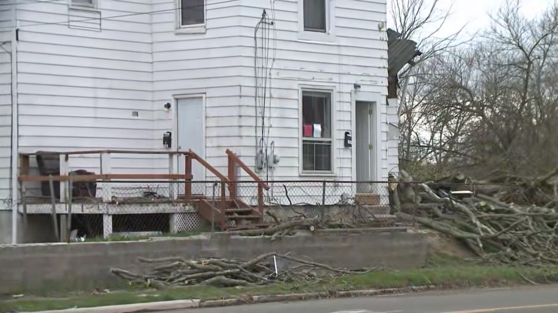 More details on Barberton tree fall that left 1 dead | wkyc.com