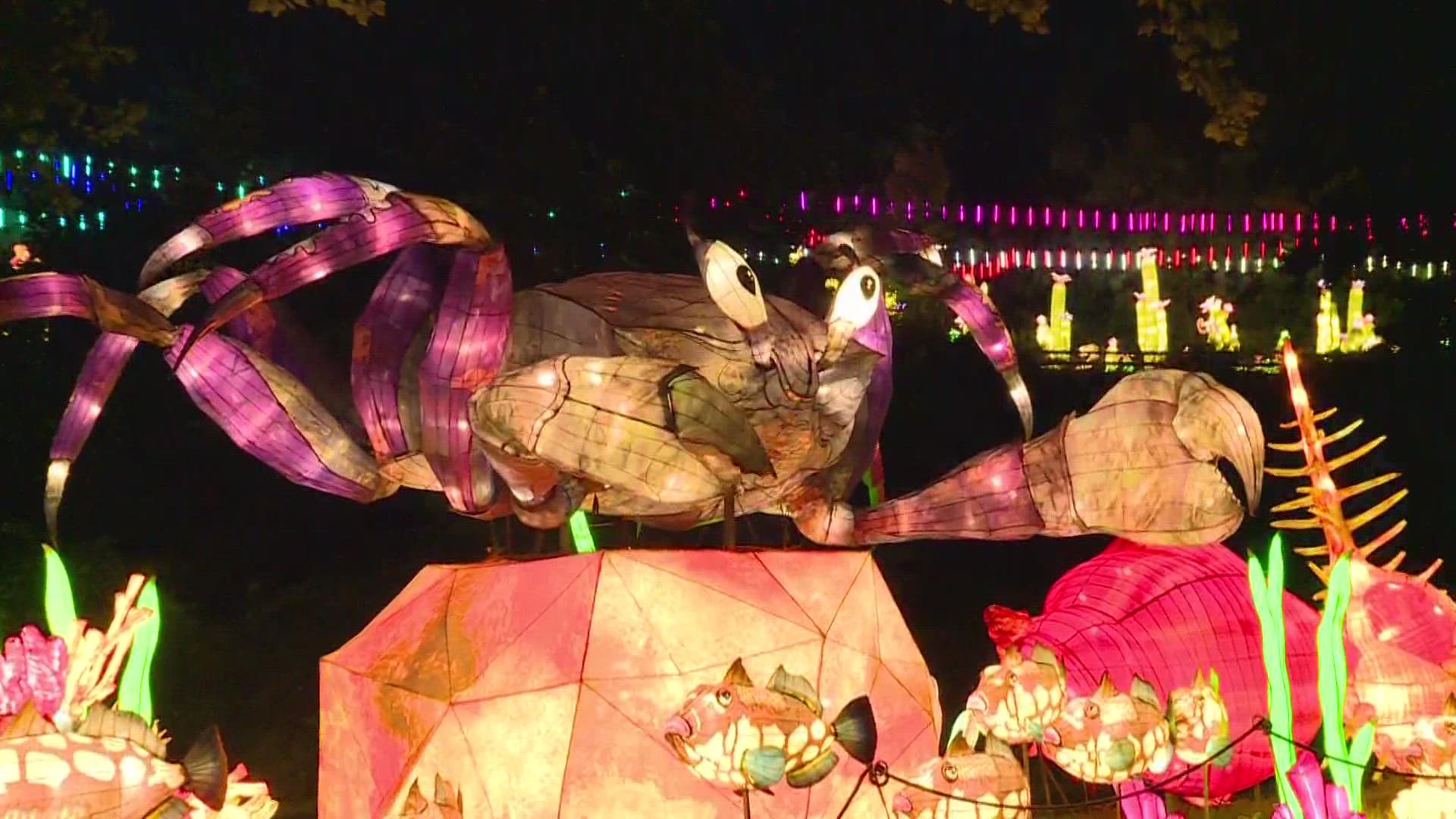 3News' Austin Love gives us a special look inside the Asian Lantern Festival at the Cleveland Metroparks Zoo.