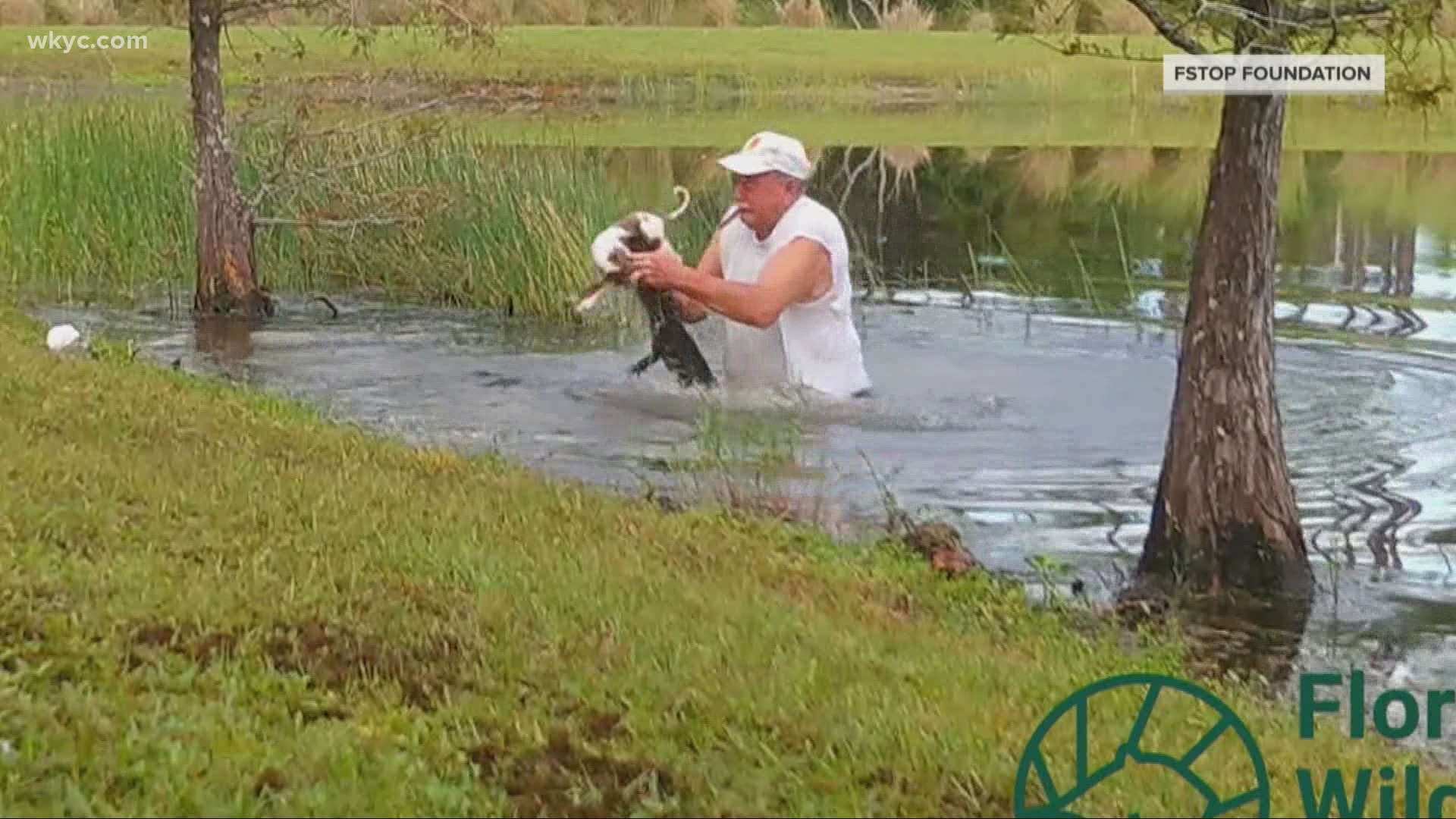 An alligator in Florida dragged a little puppy into the water.  Watch what the puppy's owner did in tonight's Worth the Watch.