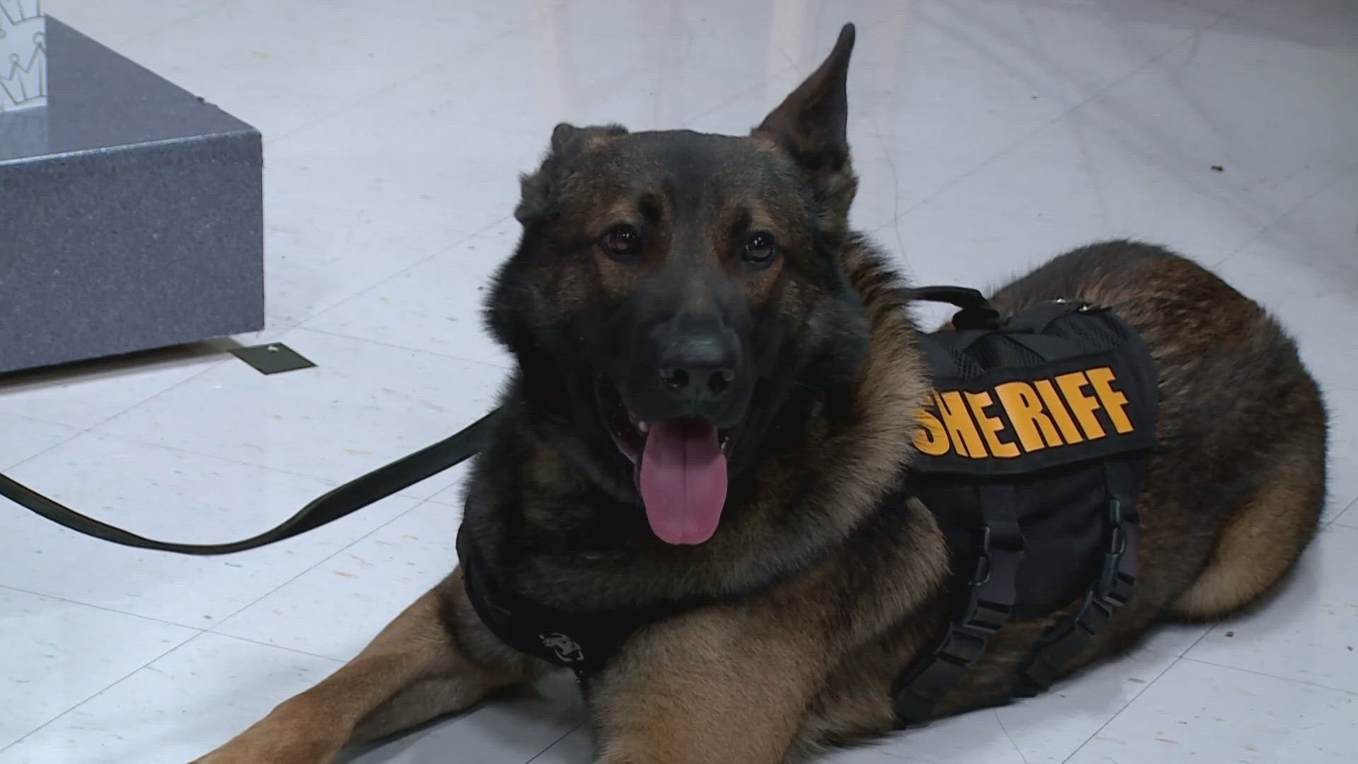 Recently, a sixth-grade reporter invited a deputy and his K9 to the school’s Kaulig media lab for an interview.