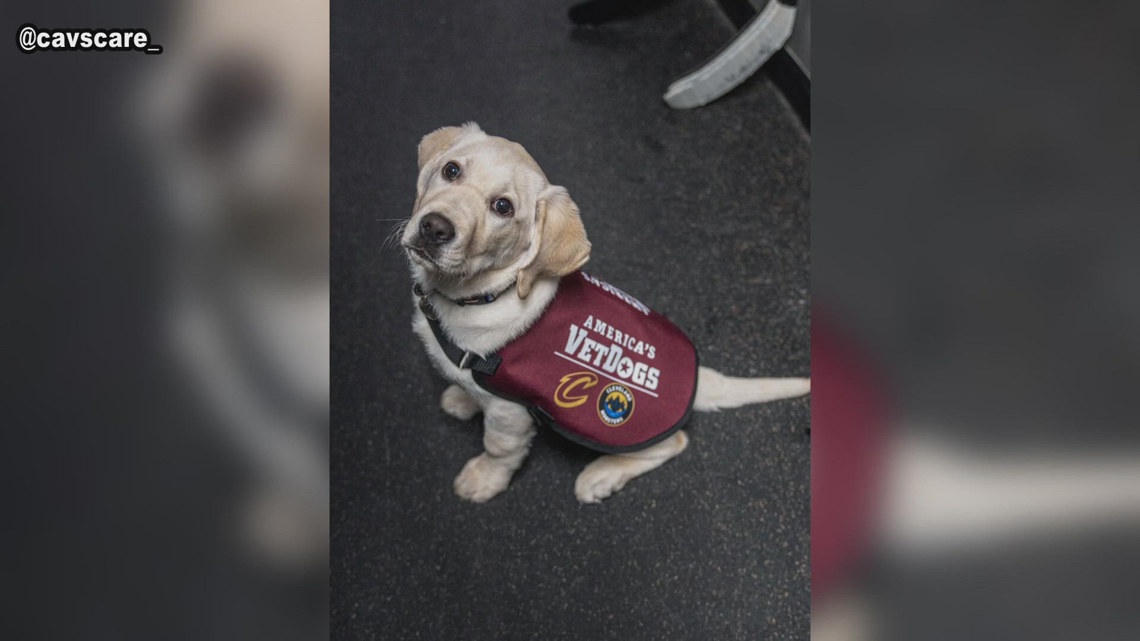 Reggie the dog ends his time with Cavaliers, Monsters at Rocket Arena in Cleveland: See what's next for this beloved pup