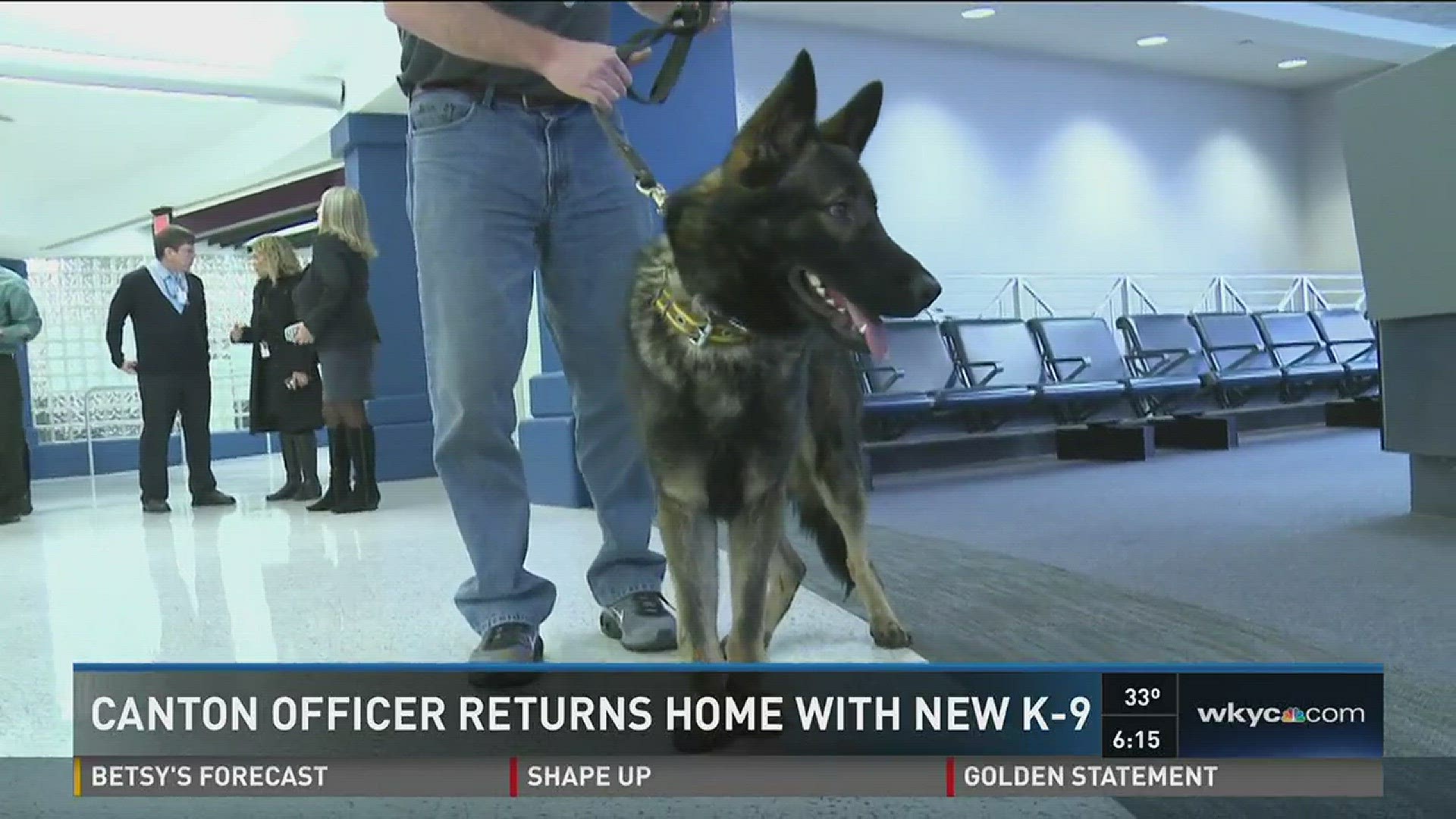 Canton officer returns with new K-9 partner | wkyc.com