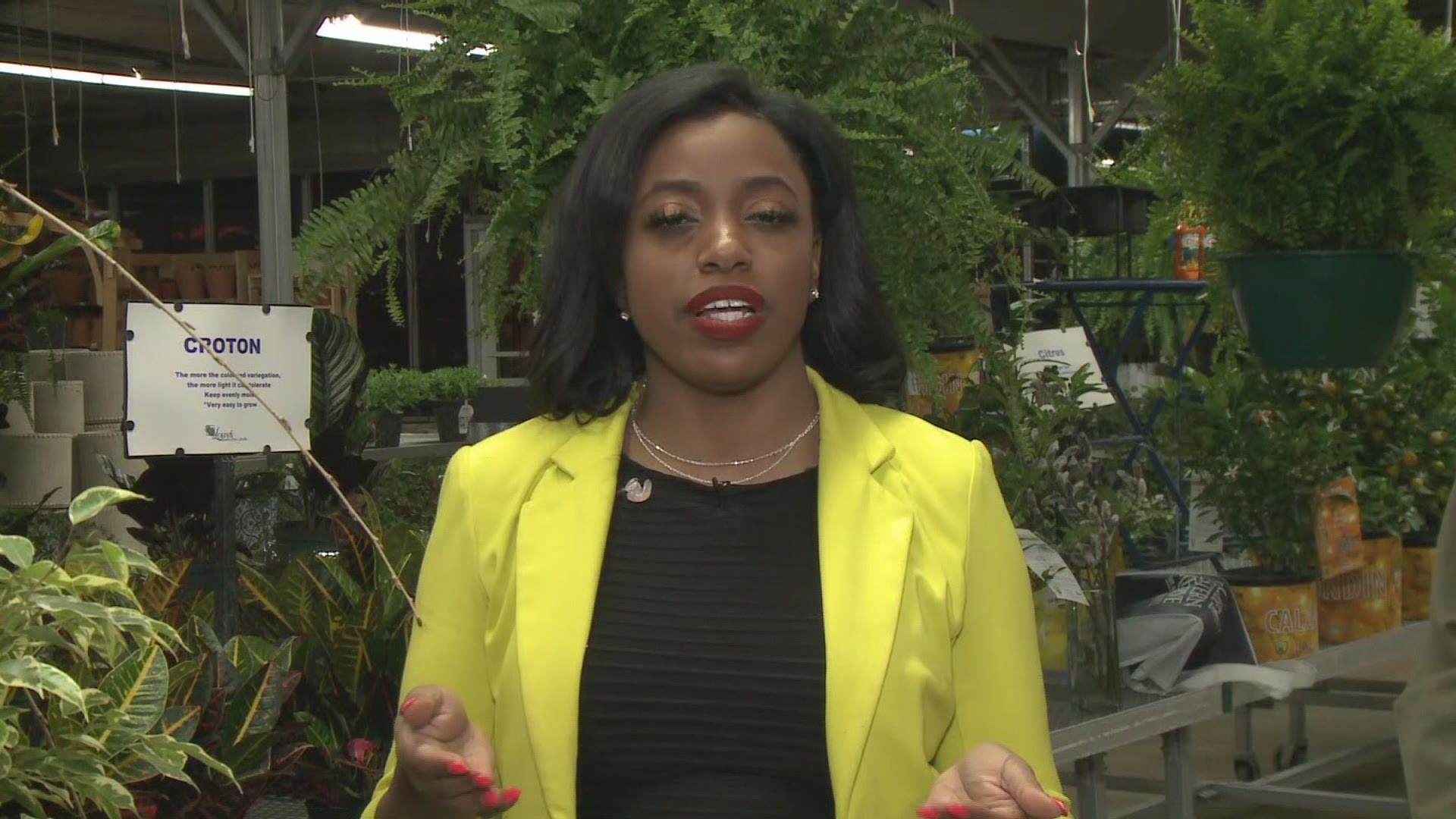 Jasmine talks to Jeff at Lowe's Greenhouse in Chagrin Falls about transferring indoor plants outdoors.