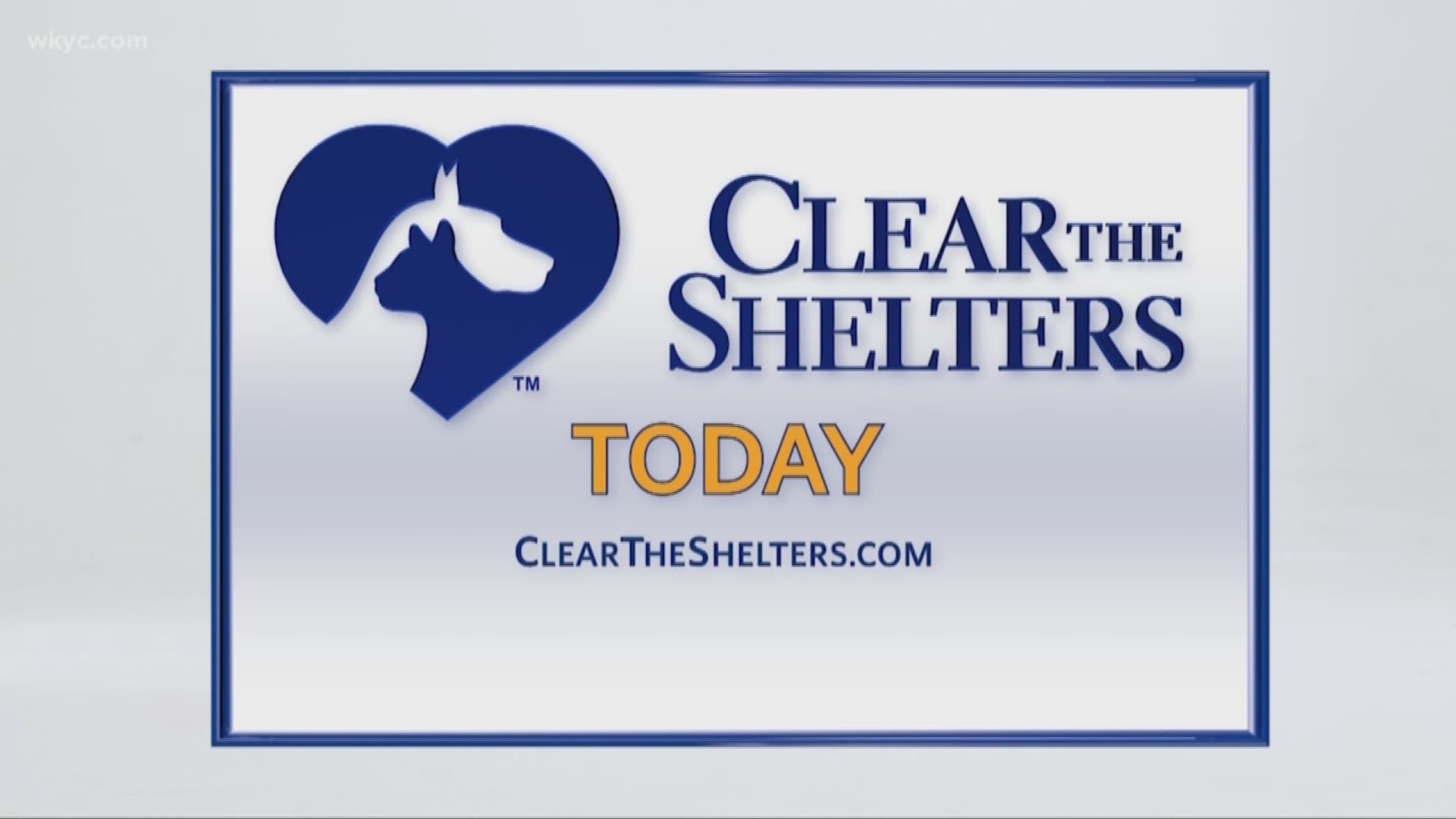 Clear the Shelters - 8 - Dorsena Drakeford