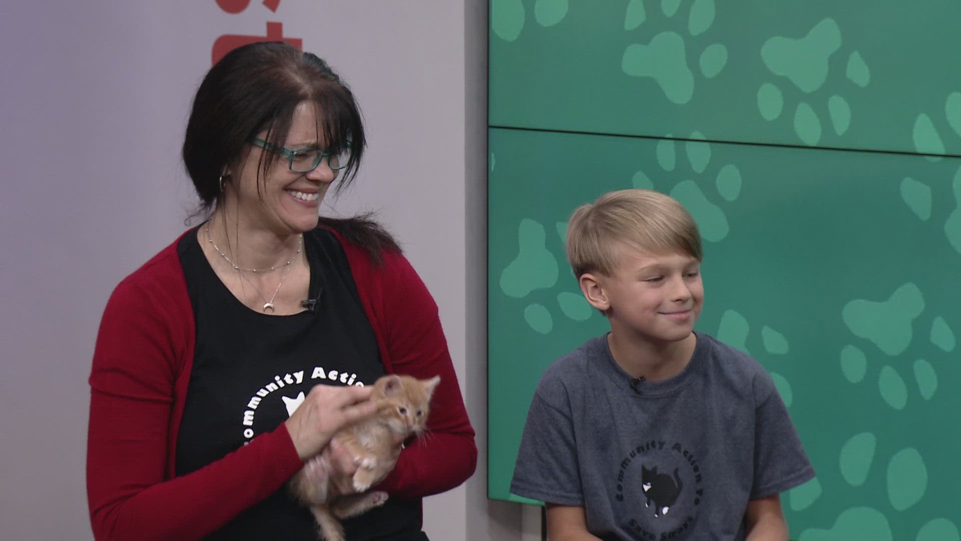 Cindy Breda and Jack Fridenstine from Community Action to Save Strays Oberlin visit 3News Go! with a trio of adorable kittens looking for a loving home. 