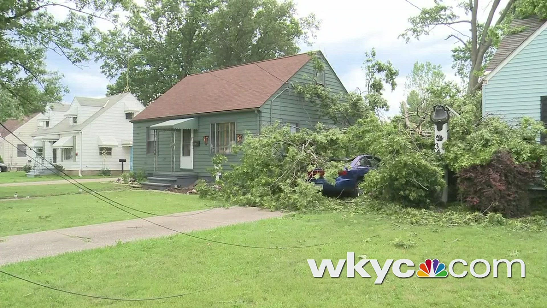 Early morning storms brought trees down on Crehore Street in Lorain. #3weather