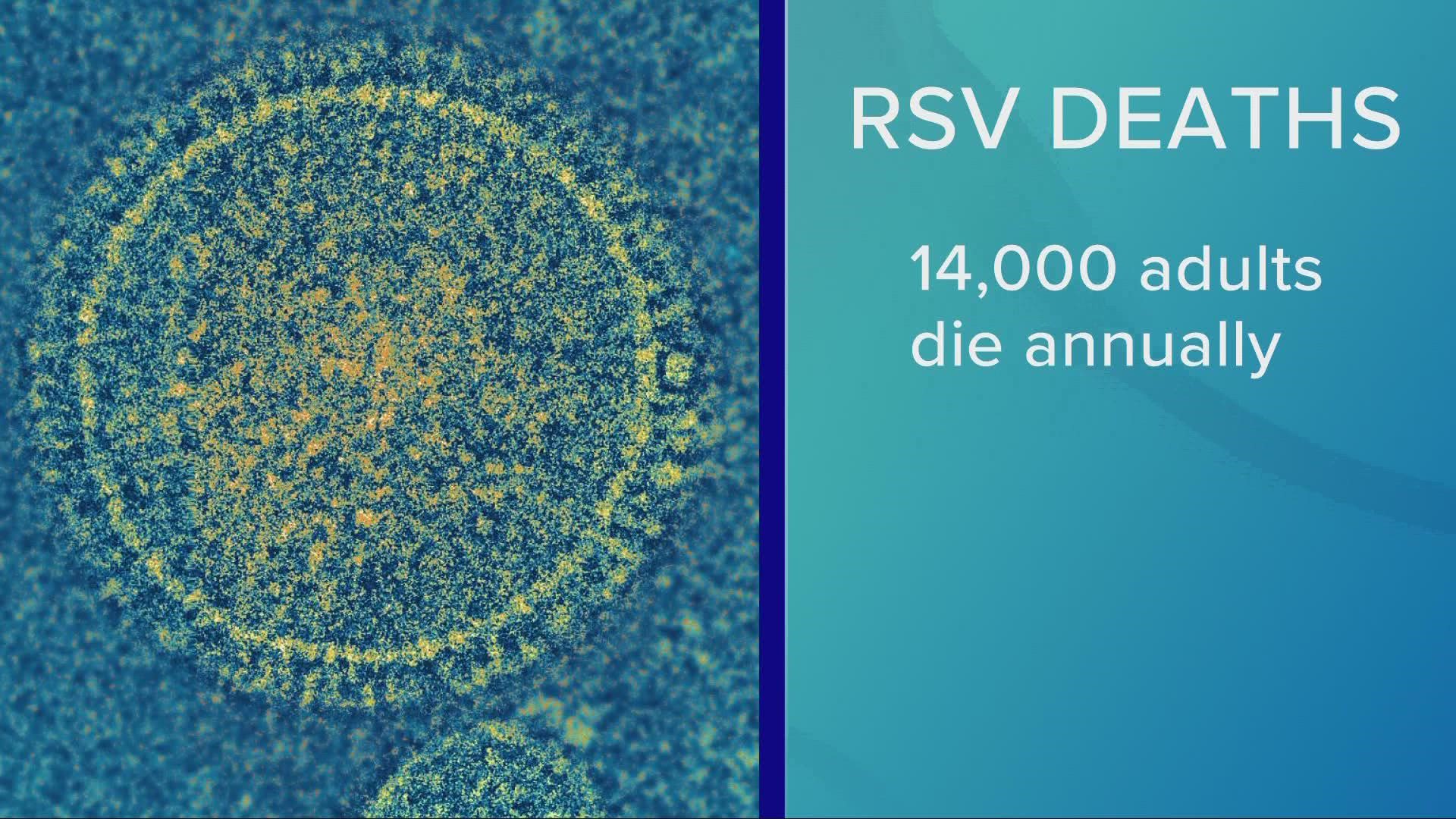While RSV deaths for children are rare, over 14,000 adults die every year from the virus.