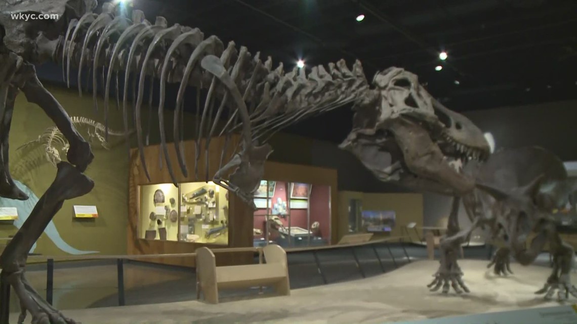 Cleveland Museum Of Natural History 100th Anniversary Exhibit Wkyc Com