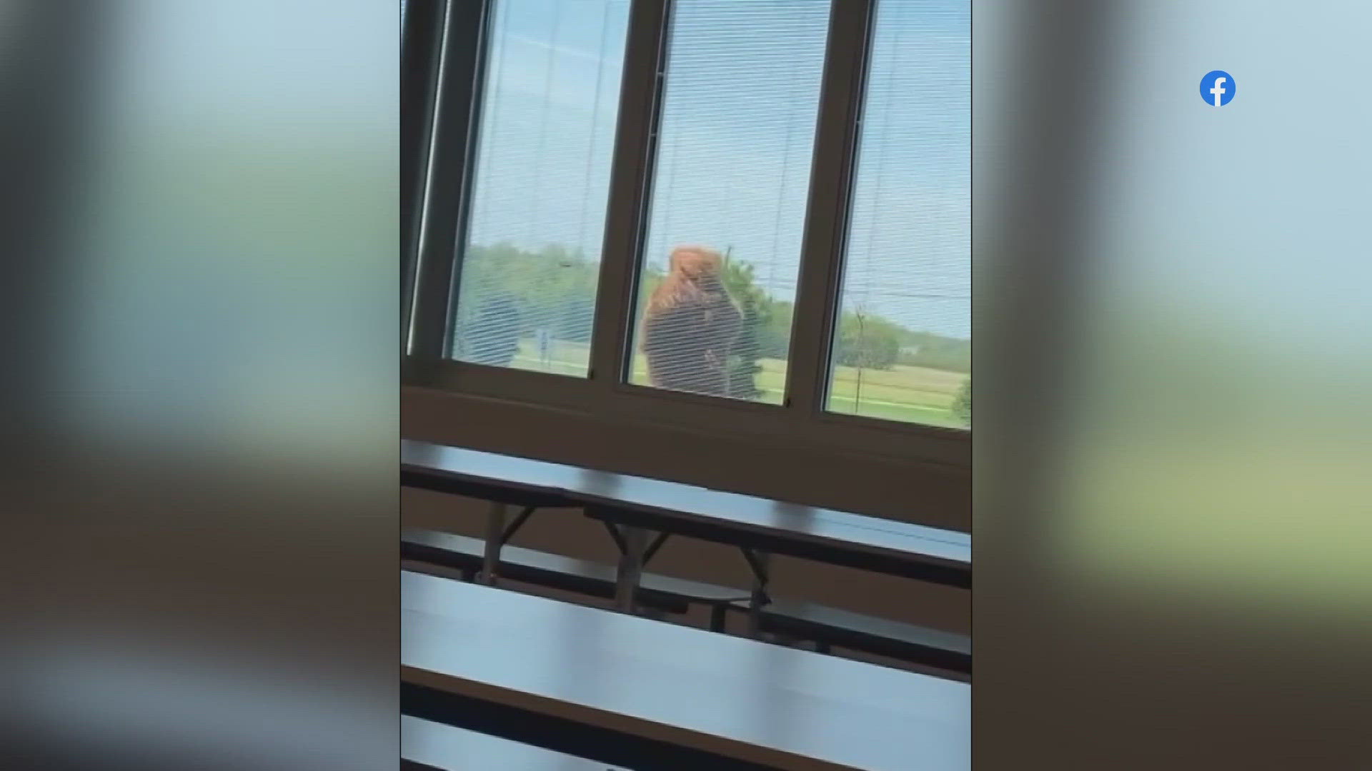 Classes at the Firelands Local School District in Lorain County were disrupted earlier this week by a person dressed up as Bigfoot.
