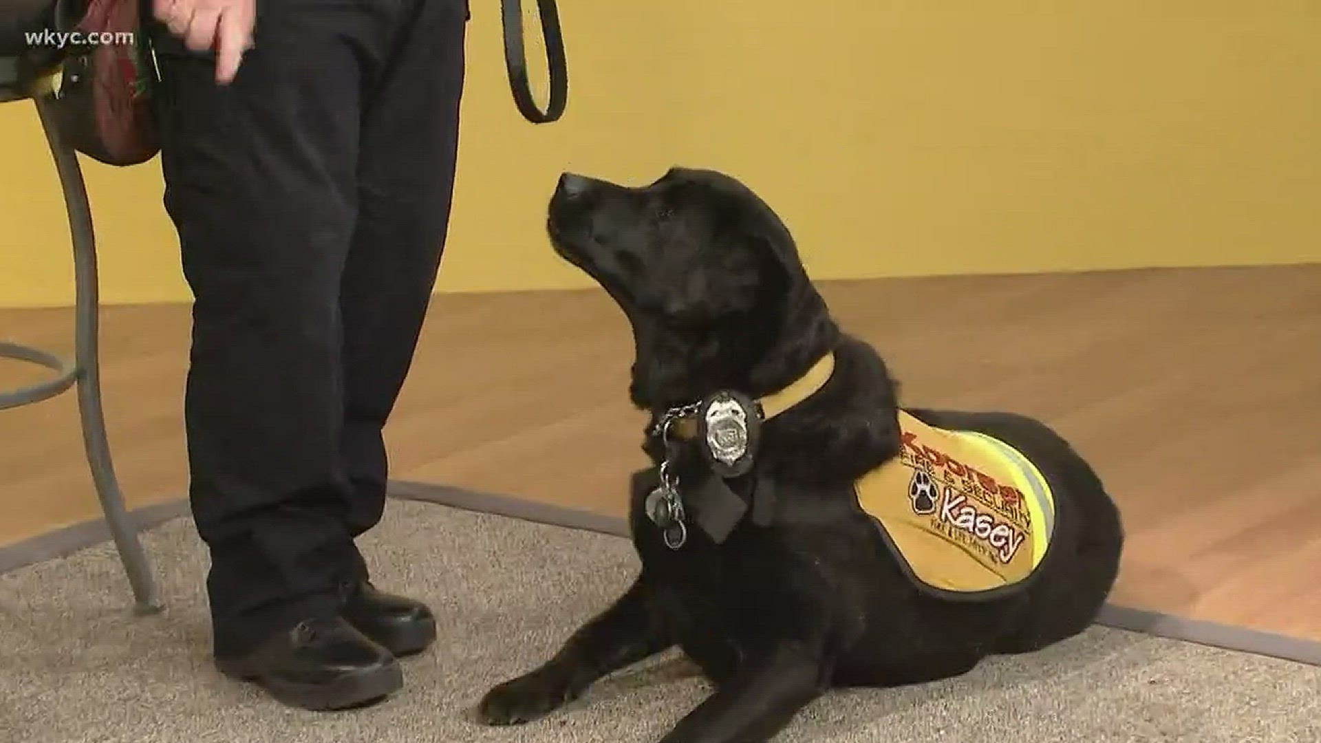 The Kasey Program teaches fire survival with dogs