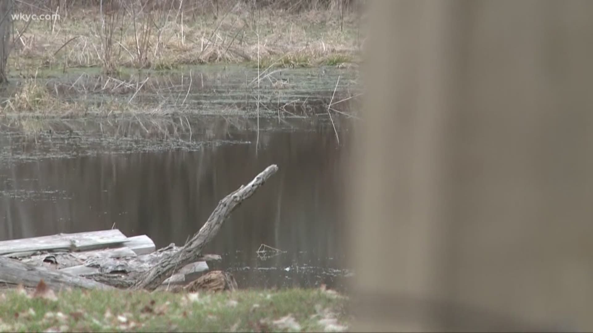missing teen's body pulled from pond in Stark County