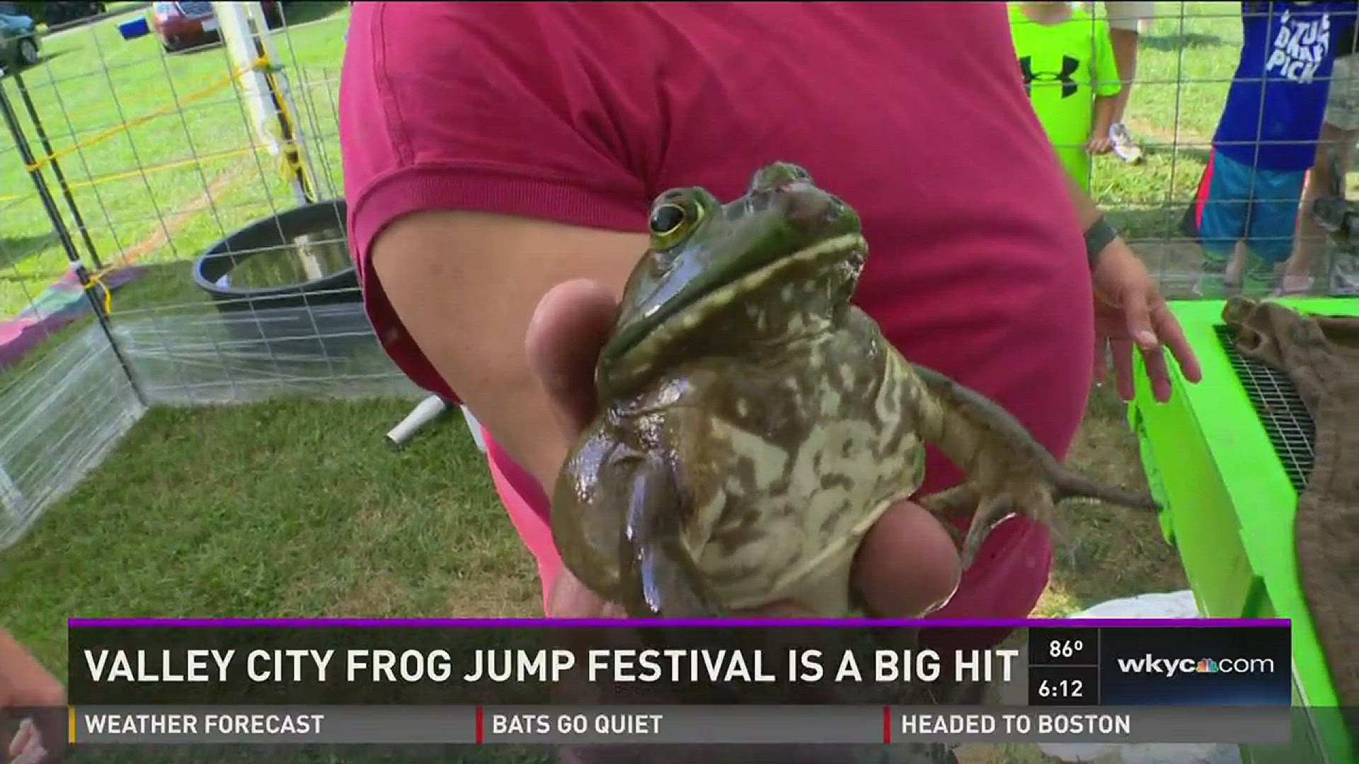 frog jumping competition