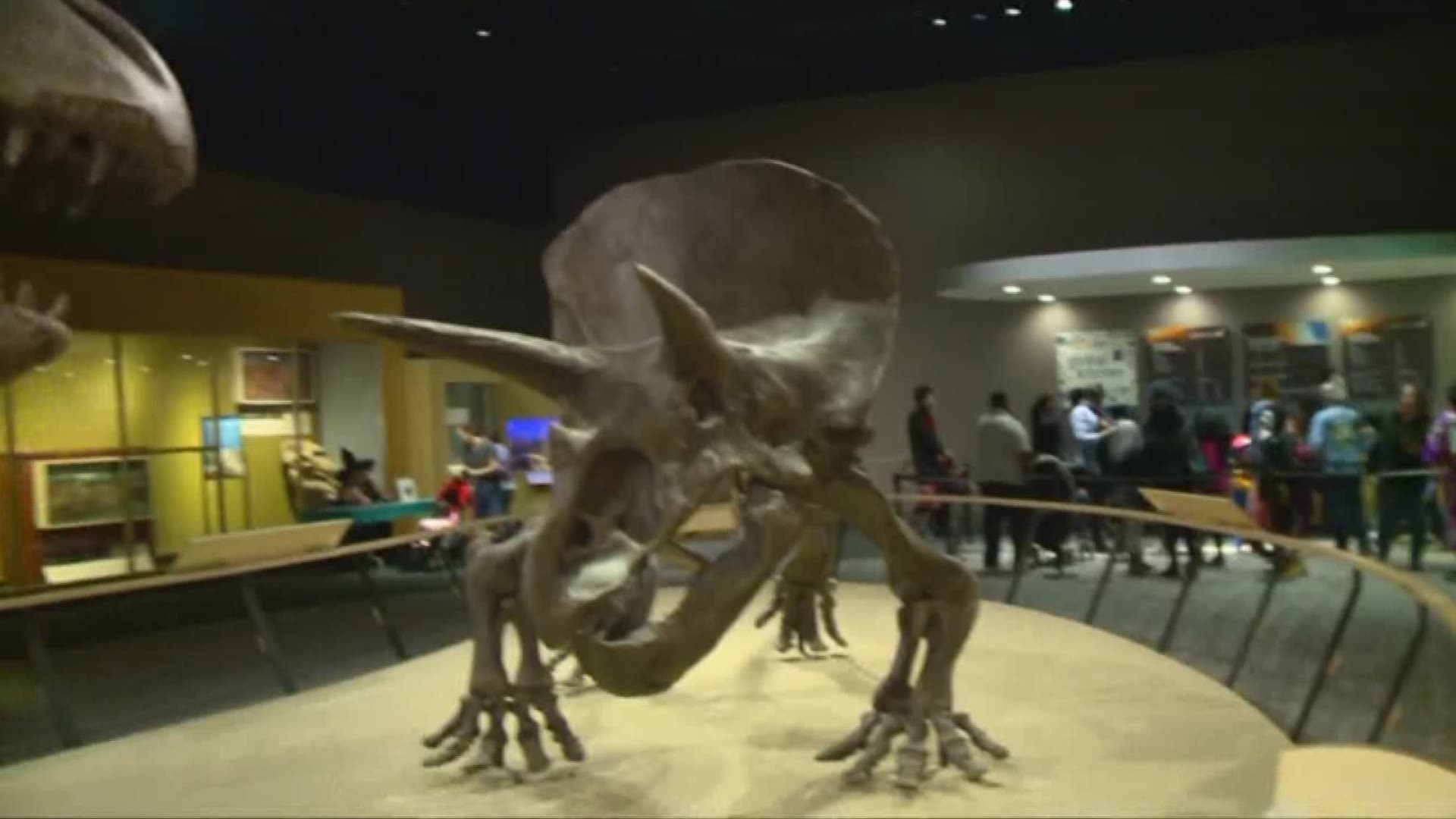 Cleveland Museum of Natural History to expand after receiving state funds