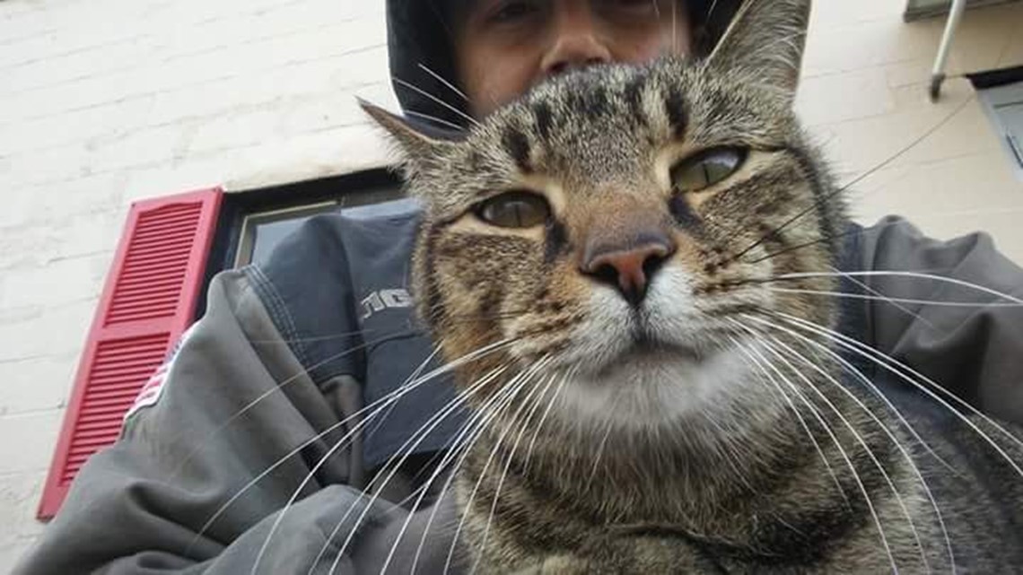 wkyc com dealership cat taken from peninsula lot peninsula cat works