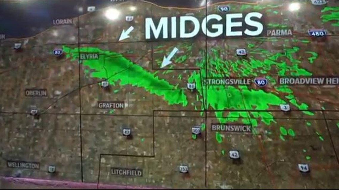 Gross! Thick swarm of midges shows up on Cleveland radar