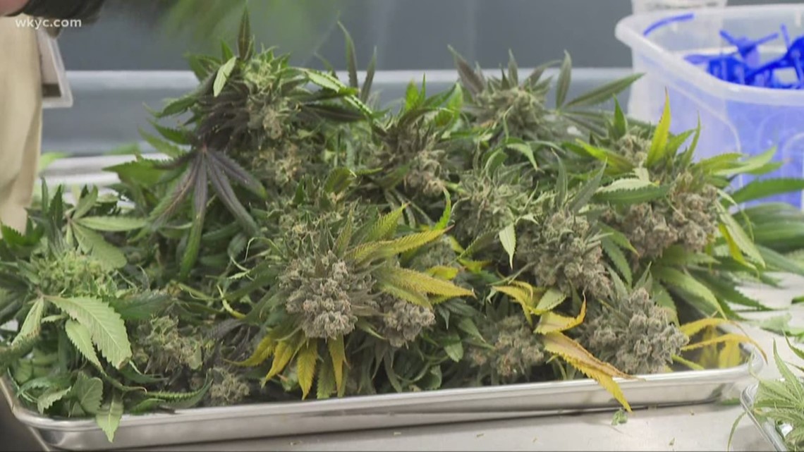 What does it mean to decriminalize marijuana in Cleveland