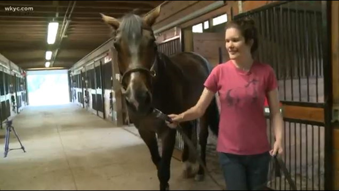 Girl with autism finds therapy through horses at Fieldstone Farm