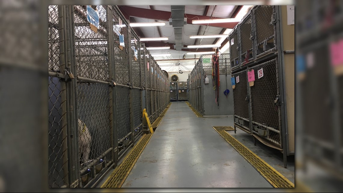 Does your home have room for a furry friend? The Lorain County Dog