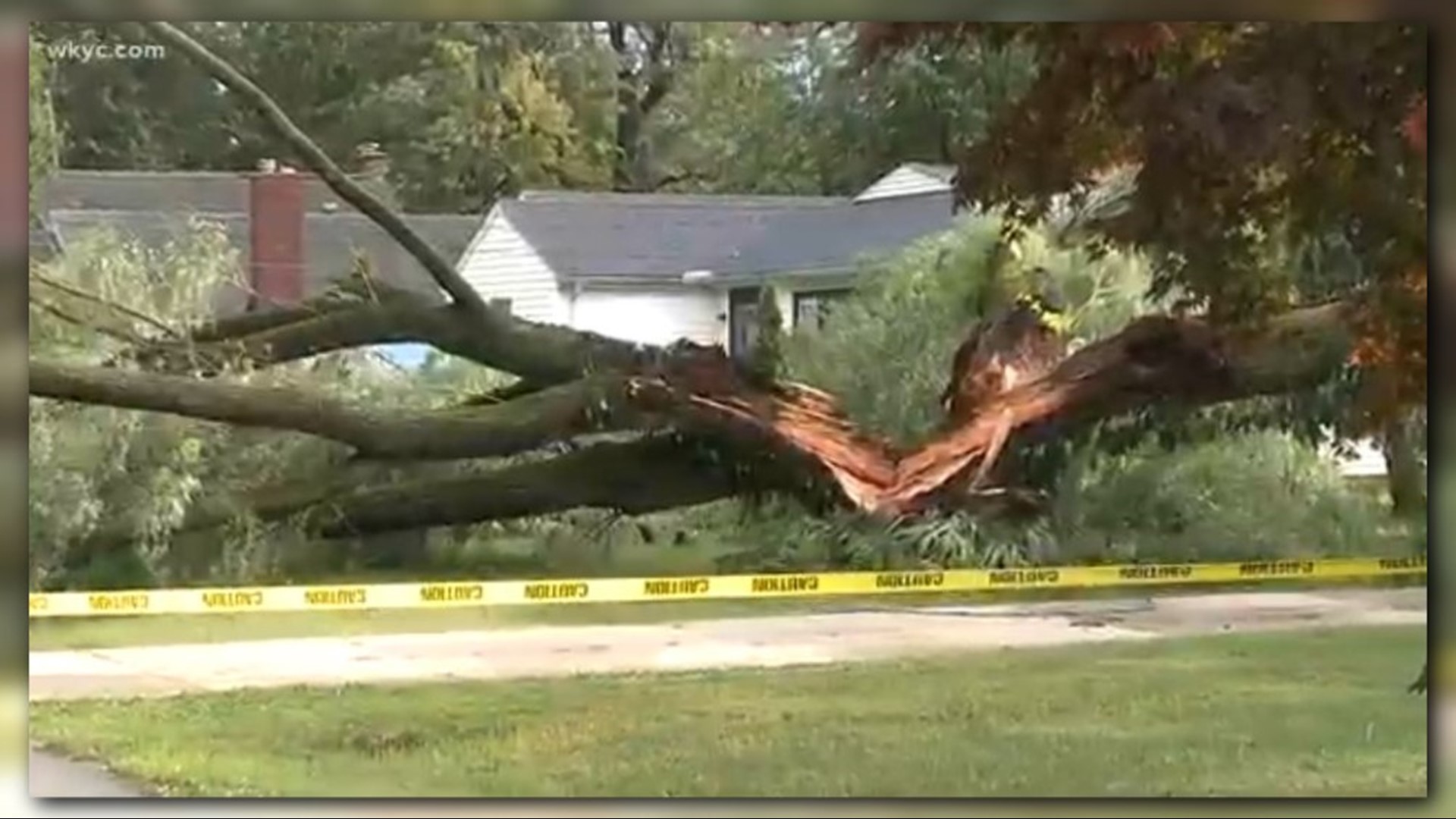 Lightning Strikes Large Tree In Lake County Whos Responsible For The 