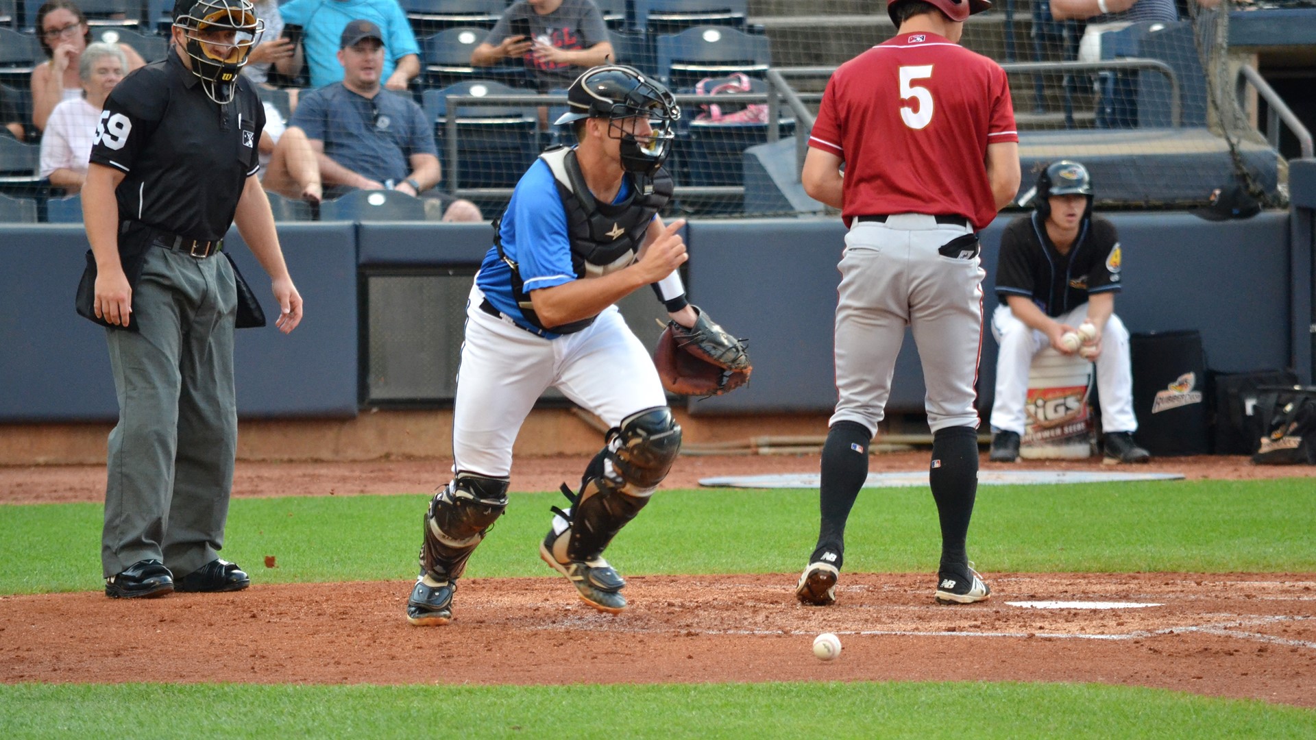 PHOTOS Akron Rubber Ducks walk off with Game 2 win over Altoona Curve