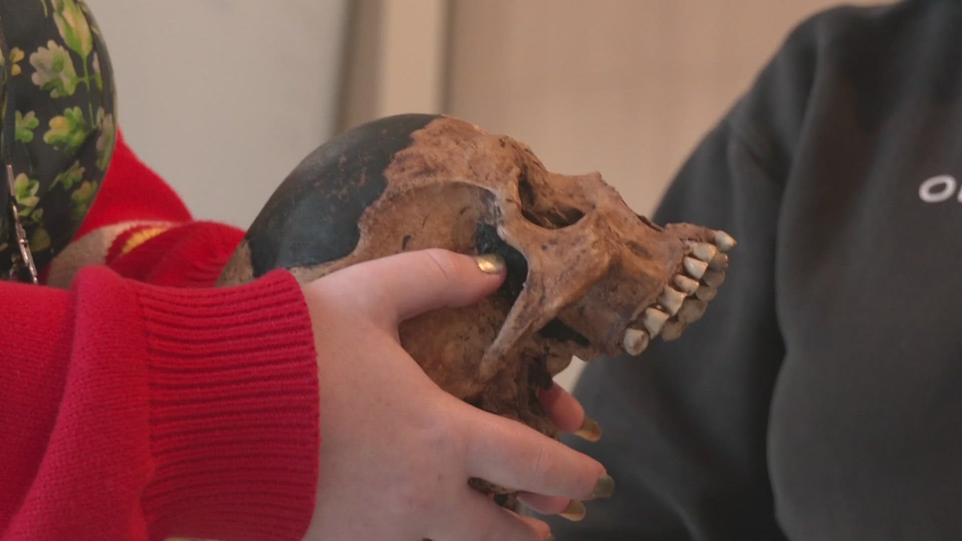 The Cleveland Museum of Natural History Museum changed how you experience the exhibits, the museum’s collection and interact with their scientists.