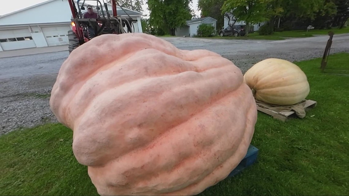 Gigantic Geauga County pumpkins on display at Huntsburg Pumpkin Festival