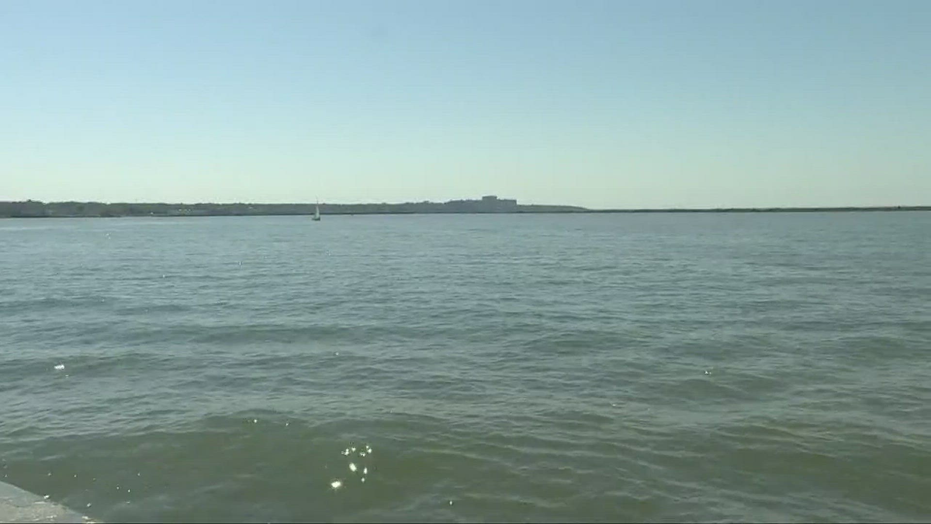 What's going on with invasive species in Lake Erie?