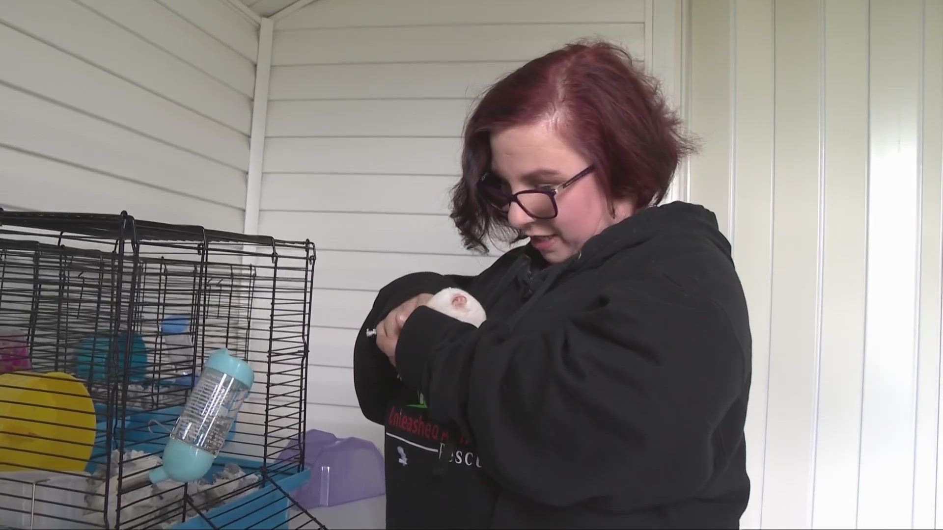 If she survived years of captivity and torture, Michelle Knight (now known as Lily Rose Lee) told herself she'd start an animal rescue. Her dreams are coming true.