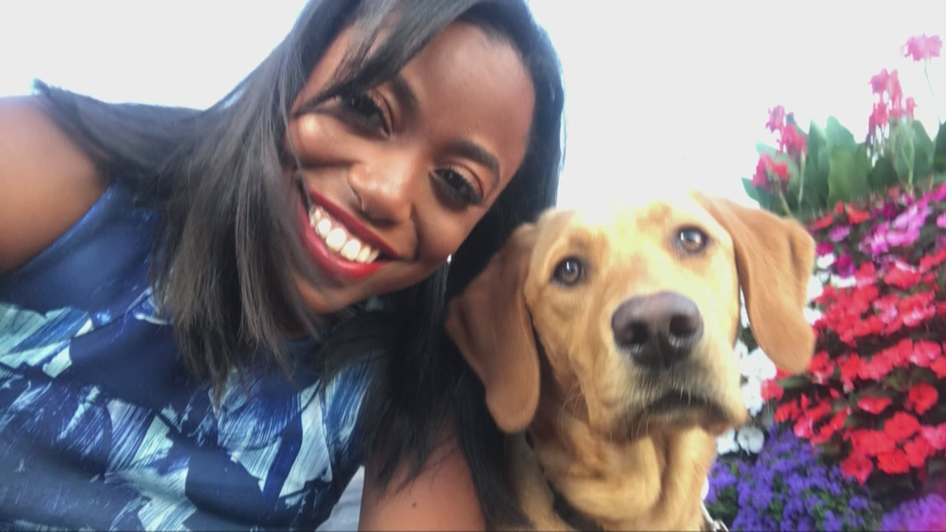 Aug. 26, 2019: Happy National Dog Day! We are celebrating this special pup day by sharing pictures of your dogs live on TV.