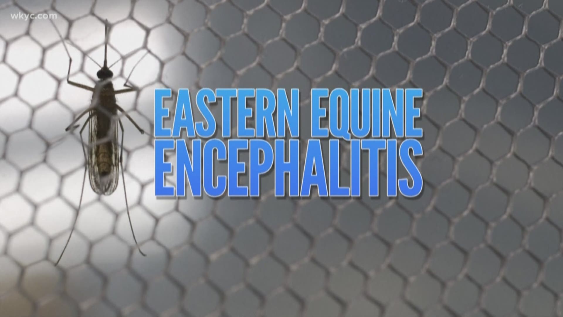 The Ohio Department of Agriculture has confirmed a case of Eastern Equine Encephalitis in a horse in Ashtabula County. EEE is a rare and lethal mosquito virus that claimed the life of a Massachusetts woman over the weekend.