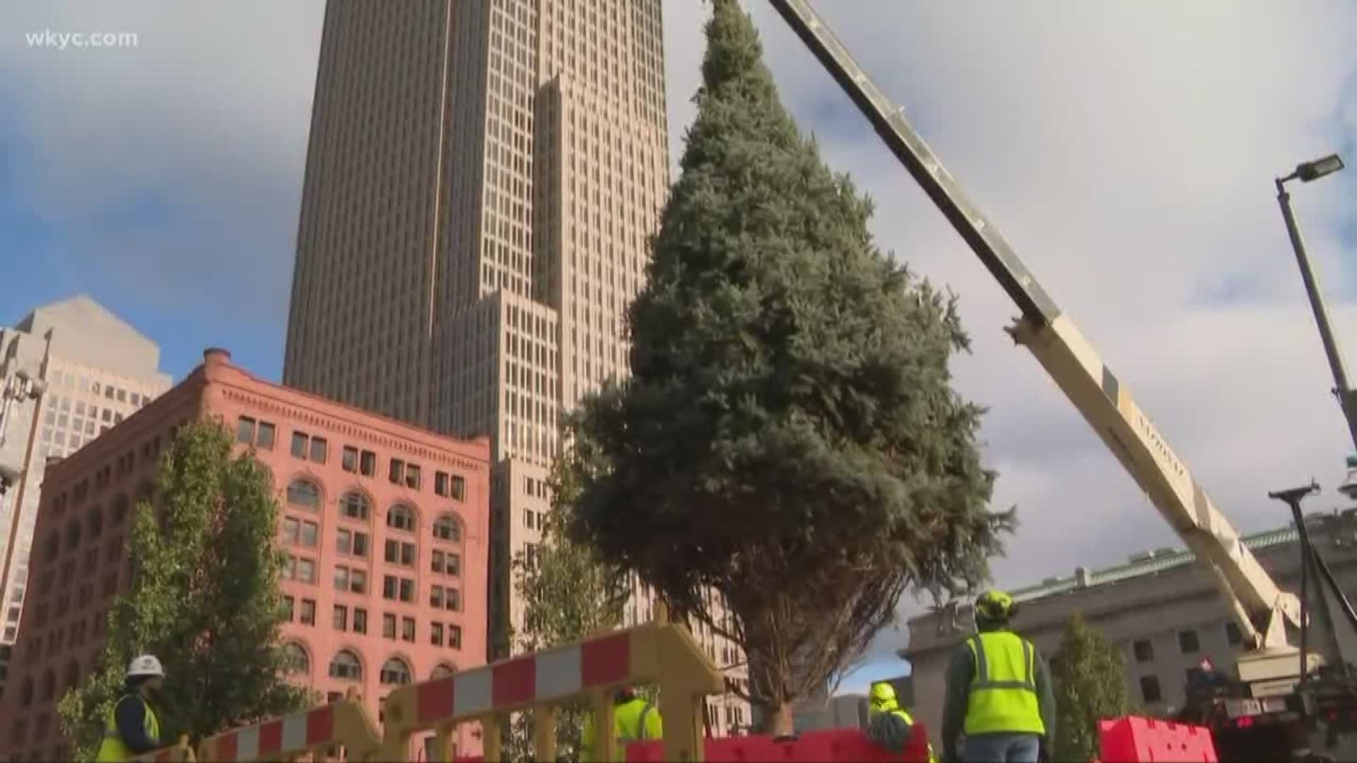 Nov. 14, 2018: It's beginning to look at lot like Christmas in downtown Cleveland. Standing at 48 feet tall, the Christmas tree was installed Wednesday morning on the north side of Public Square.